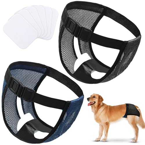 WUFANC Läufigkeitshose für Hündinnen 2er Pack, Hundehöschen Läufigkeit mit 6 Hygienepads, Waschbar und Wiederverwendbar, Verstellbar und Anti-Belästigung, für den Innen- und Außenbereich (XL) von WUFANC