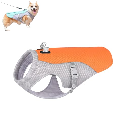 Summer Pet Dog CoolingVest, Cooling Vest for Dogs, Pet Cooler Jackets Mesh Clothes Summer Outdoor, for Small Medium Large Dogs (Large,Orange) von WUFBUW