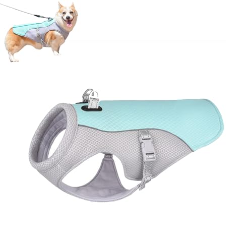 Summer Pet Dog CoolingVest, Cooling Vest for Dogs, Pet Cooler Jackets Mesh Clothes Summer Outdoor, for Small Medium Large Dogs (Medium,Blue) von WUFBUW
