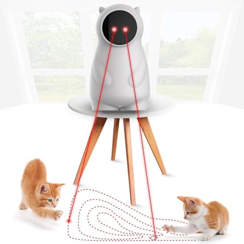 WUGEIN Elektrisches Katzenspielzeug, echte Freizeit-Strecke, interaktives Katzenspielzeug, wiederaufladbar, interaktives Spielzeug für Katzen / Hunde im Innenbereich WUGEIN Elektrisches Katzenspielzeug, echte Freizeit-Strecke, interaktives Katzenspielzeug, wiederaufladbar, interaktives Spielzeug für Katzen / Hunde im Innenbereich von WUGEIN