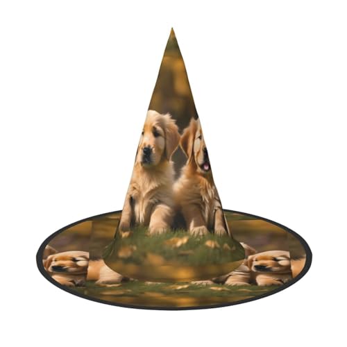 WURTON Golden Retriever Hunde Welpen Haustiere Druck Halloween Hut Einzigartiger Hexenhut für Partys Cosplay - Halloween Dekor Partys von WURTON