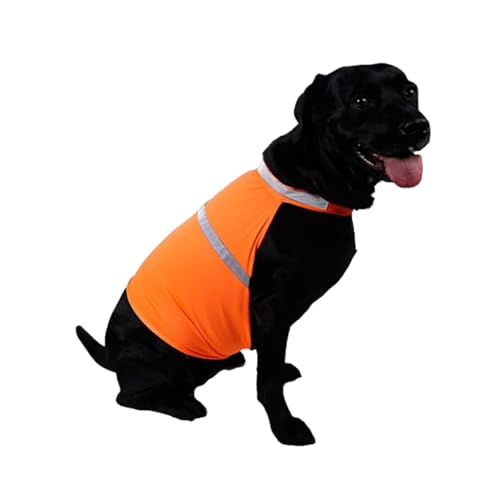 WUUISDNX Fluoreszierende Hundeweste mit hoher Sichtbarkeit, bequemer Hundebegleiter, breite Anwendung, modisches Polyester, Fluoreszierendes Orange, M von WUUISDNX
