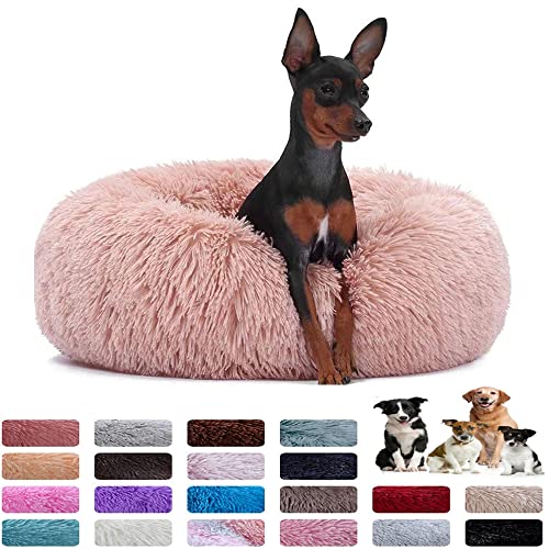 WXDL Hundebetten Rundes,Haustierbett Für Hunde Und Katzen,Kleiner Hunde Hundesofa Katzenbett In Doughnut Waschbar (Diameter 50cm,Beige) von WXDL