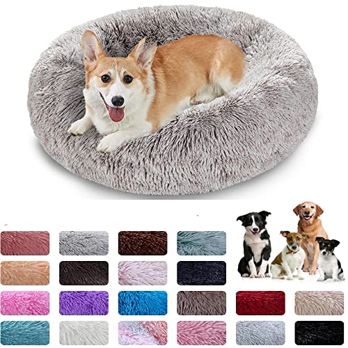 WXDL Plüsch-Donut-Haustierbett,rund,warm,weich,flauschig,orthopädisch,großes Hundebett Mit Rutschfester Unterseite (Diameter 100cm,Beige) von WXDL