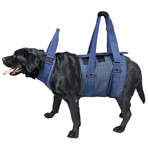 WXFEXIA Dog Full Body Lift Support Harness - Gehhilfe für Gehhilfen bei der Rehabilitation von Haustieren hilft dem Hund beim Aufstehen bei Verletzungen Arthritis, Genesung, Behinderung (XL) von WXFEXIA