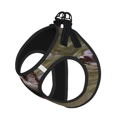 Hundegeschirr mit süßem Wasserturm-Druck, weich, leicht, Welpen, atmungsaktiv, reflektierend, für einfaches Gehen Hundegeschirr mit süßem Wasserturm-Druck, weich, leicht, Welpen, atmungsaktiv, reflektierend, für einfaches Gehen von WYCZHY