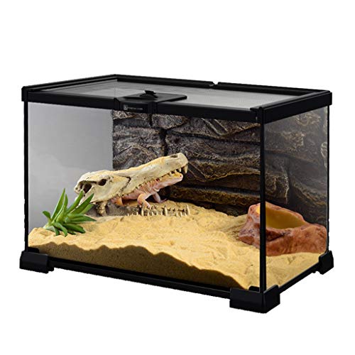Reptilien-Terrarium, ansprechender Lebensraum für Reptilien aus Glas, sichere Fütterung, transparent, einfach zu montieren (schwarz, 30 x 20 x 29 cm) von WYRMB