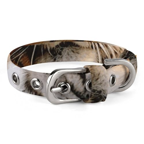 Niedliches Katzenhalsband, Tiger, der auf dem Gras liegt, mit Abreißverschluss, personalisierbares Hundehalsband, geeignet für kleine und mittelgroße Hunde von WYUSPGK