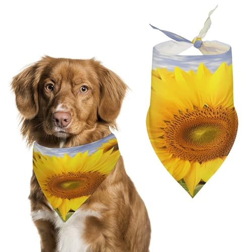 Stylisches Haustier-Halstuch für Katzen und Hunde, Dreieckstuch mit Sonnenblumen-Druck, leicht und langlebig, perfekt für den täglichen Gebrauch oder besondere Anlässe von WYUSPGK