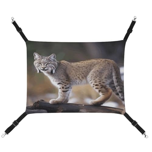 WYUSPGK Gemütliche Haustier-Hängematte, wilder Bobcat-Druck, atmungsaktiv, platzsparendes Canvas-Bett für Katzen und kleine Hunde, verstellbar, tragbar und leicht zu reinigen von WYUSPGK