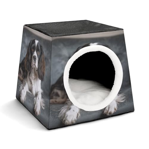 WYUSPGK Kapsel-Haustiernest, stilvolles und gemütliches Weltraumkapsel-Design für kleine Haustiere, Spaniel auf dem Sofa, bedruckt, stilvolles Haustiernest, gemütliches Haustiernest, tragbares von WYUSPGK