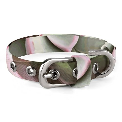 WYUSPGK Niedliches Katzenhalsband, Sukkulenten, botanischer Druck, personalisiertes Hundehalsband, geeignet für kleine und mittelgroße Hunde von WYUSPGK