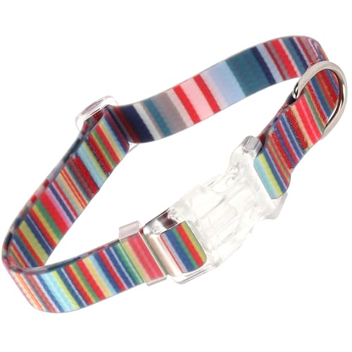 WYuZe Wasserdichtes Hundehalsband, geruchsdicht, leicht zu reinigen, verstellbares Hundehalsband mit Schnellverschluss-Schnalle für kleine, mittelgroße Hunde (Regenbogen, 26,7 - 38,1 cm) von WYUZE