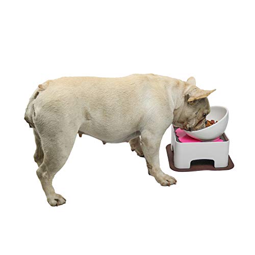WZ PET Erhöhter Futternapf aus Keramik, verstellbar, erhöht, rutschfest, für kleine und mittelgroße Hunde und Katzen, Weiß von WZ PET