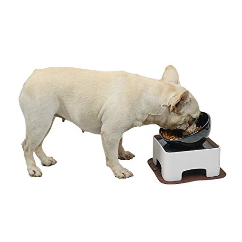 WZ PET Erhöhter geneigter Futternapf, erhöhter Keramik-Hundenapf, rutschfest, stehender Futternapf für kleine, mittelgroße Hunde und Katzen, schwarz von WZ PET