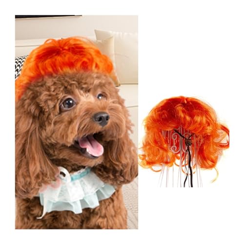 WaLdor Tierhaarkostüm Haustier-Perücken-Kopfbedeckung, Hunde- und Katzen-Pony-Haare, Haustier-Verkleidung, lustige Weihnachtsartikel Lustige Hunde-Katze-Cosplay-Perücke (Color : B) von WaLdor