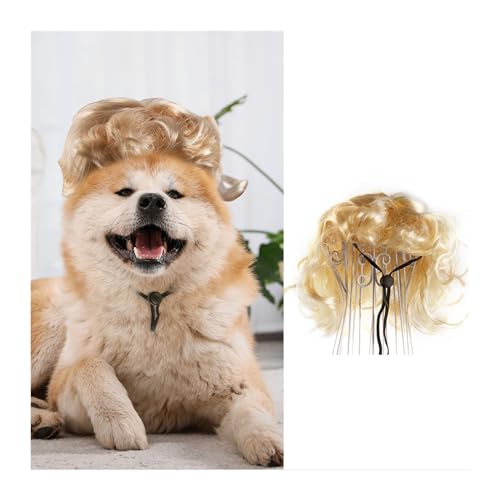 WaLdor Tierhaarkostüm Haustier-Perücken-Kopfbedeckung, Hunde- und Katzen-Pony-Haare, Haustier-Verkleidung, lustige Weihnachtsartikel Lustige Hunde-Katze-Cosplay-Perücke (Color : C) von WaLdor