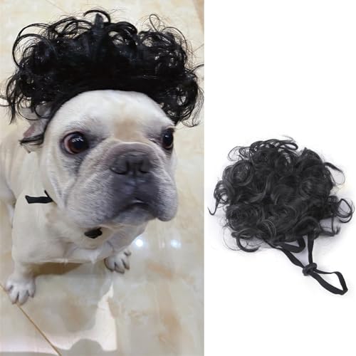 WaLdor Tierhaarkostüm Haustierperücke, Katzen- und Hundeperücke mit Pony, Halloween- und Weihnachtsparty-Perücken-Haarschmuck Lustige Hunde-Katze-Cosplay-Perücke (Color : 1) von WaLdor