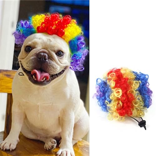 WaLdor Tierhaarkostüm Haustierperücke, Katzen- und Hundeperücke mit Pony, Halloween- und Weihnachtsparty-Perücken-Haarschmuck Lustige Hunde-Katze-Cosplay-Perücke (Color : 2) von WaLdor