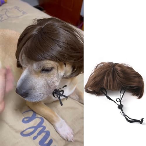 WaLdor Tierhaarkostüm Haustierperücke, Katzen- und Hundeperücke mit Pony, Halloween- und Weihnachtsparty-Perücken-Haarschmuck Lustige Hunde-Katze-Cosplay-Perücke (Color : 4) von WaLdor