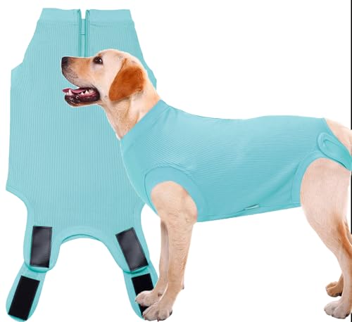 Wabdhaly Body zur Genesung von Hündinnen, leer, blauer chirurgischer Einteiler, Kegel-Alternative, für große Hunde, Hellblau, Größe XL von Wabdhaly