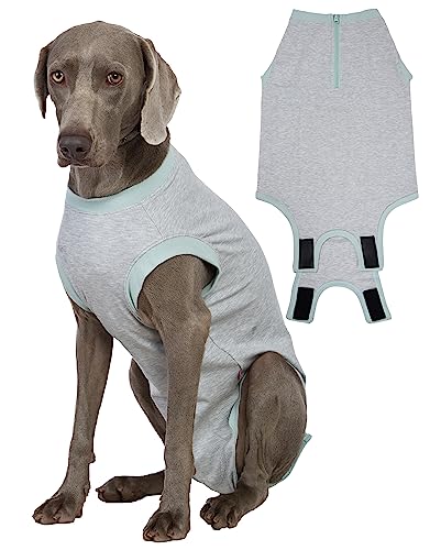 Wabdhaly Hunde-Genesungsanzug mit Reißverschluss für männliche Neutral-Chirurgie, weiblicher Spay Recovery-Einteiler, E-Halsband und Kegel, Alternative, chirurgischer kleiner Genesungsanzug, von Wabdhaly