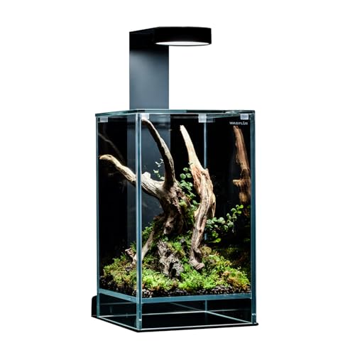 WabiFlur AOKIGAHARA - Terrarium komplett mit integrierter LED, Terrarium aus extra hellem Glas, gebrauchsfertig mit Moos, Hölzern und Boden inklusive, Nano-Garten, Maße 15 x 15 x 25 cm von WabiFlur