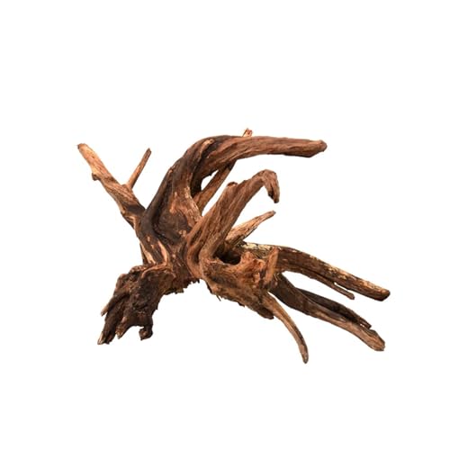 WabiFlur - Natürliches Drift Holz für Aquarium Nano Garden und Terrarien - Schafft einen Wilden und einzigartigen Ambinete, Größe Medium Einzelstück 15-20 cm von WabiFlur