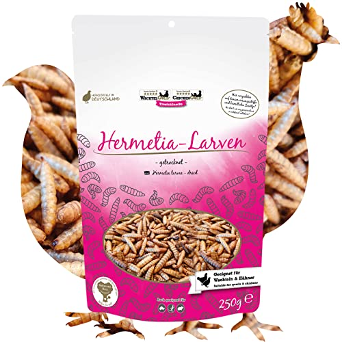 Hermetia-Larven 250g - getrocknete Soldatenfliegenlarven für Vögel, Kleintiere & Reptilien von WachtelGold