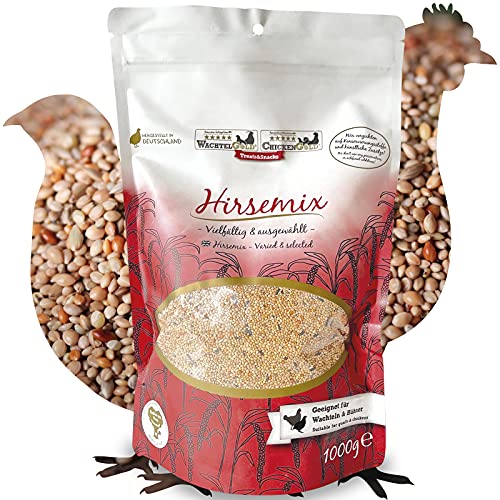 WachtelGold Hirsemix 1kg - Snack für Legewachtel und Ziervögel - Hirse von WachtelGold