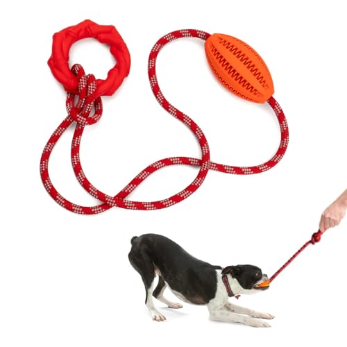 Wagably Interaktives Kauspielzeug für Hunde mit Seil für aggressive Kauer - Zerren und Werfen - Welpentraining - Gibt Leckerlis und Futter - Zahnbürste für Haustierzahnreinigung - Fördert die geistige von Wagably