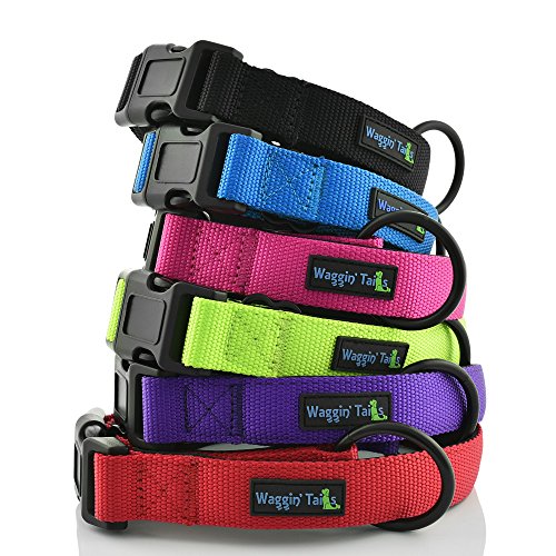 Waggin Tails Classic Comfort Hundehalsband Premium Nylon Neopren gepolstert Hundehalsband für kleine, mittelgroße oder große Hunde, Large, Lively Pink von Waggin Tails