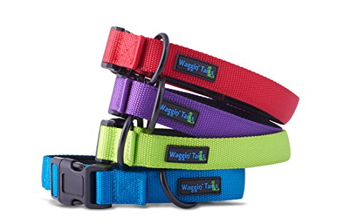 Waggin Tails Classic Comfort Hundehalsband Premium Nylon Neopren gepolstert Hundehalsband für kleine, mittelgroße oder große Hunde, Medium, neon Green von Waggin Tails