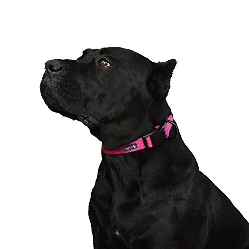 Waggin Tails Classic Comfort Hundehalsband Premium Nylon Neopren gepolstert Hundehalsband für kleine, mittelgroße oder große Hunde, XLarge, Lively Pink von Waggin Tails