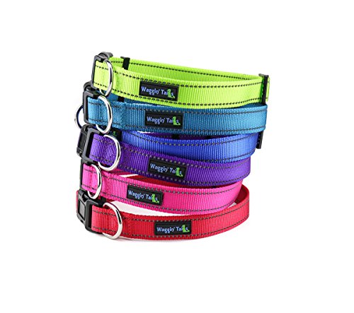 Waggin Tails Classic Halsband Reflektierend – 6 lebhaften Farben – Passende Leine Separat erhältlich, Small, Hellblau von Waggin Tails