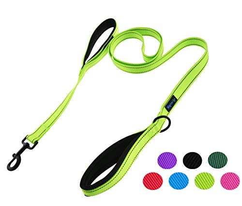 Waggin Tails Hundeleine mit 2 Griffen, 1,83 m, hochwertig, doppelt gepolsterte Griffe, Hundeleine – tolle Kontrolle für mittelgroße oder große Hunde, 1 inch width - 6 ft length, Reflective Neon Green von Waggin Tails