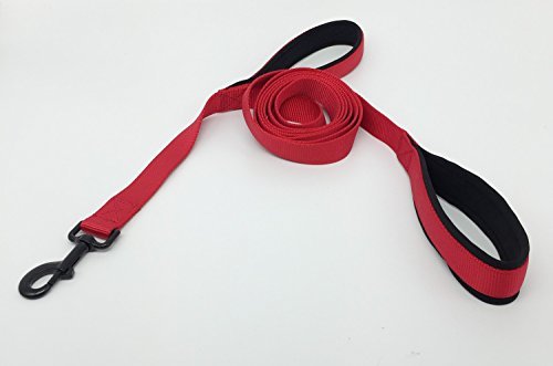 Waggin Tails Hundeleine mit 2 Griffen, 1,83 m, hochwertig, doppelt gepolsterte Griffe – tolle Kontrolle für mittelgroße oder große Hunde, 1 inch width - 6 ft length, Carnation Red von Waggin Tails