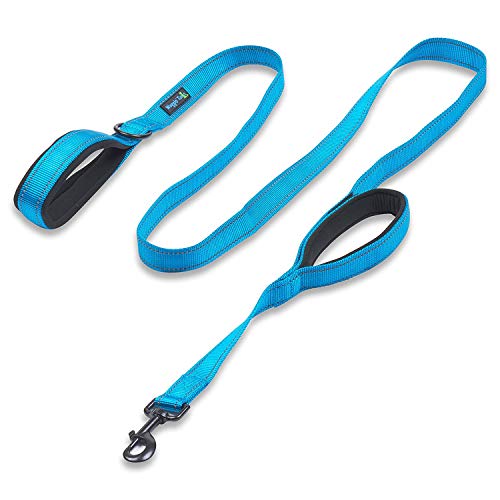 Waggin Tails Hundeleine mit 2 Griffen, 1,83 m, hochwertig, doppelt gepolsterte Griffe – tolle Kontrolle für mittelgroße oder große Hunde, 1 inch width - 6 ft length, Reflective Bright Blue von Waggin Tails