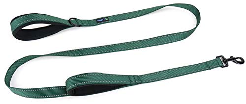 Waggin Tails Hundeleine mit 2 Griffen, 1,83 m, hochwertig, doppelt gepolsterte Griffe – tolle Kontrolle für mittelgroße oder große Hunde, 1 inch width - 6 ft length, Reflective Hunter Green von Waggin Tails