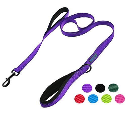 Waggin Tails Hundeleine mit 2 Griffen, 1,83 m, hochwertig, doppelt gepolsterte Griffe – tolle Kontrolle für mittelgroße oder große Hunde, 1 inch width - 6 ft length, Reflective Vibrant Purple von Waggin Tails