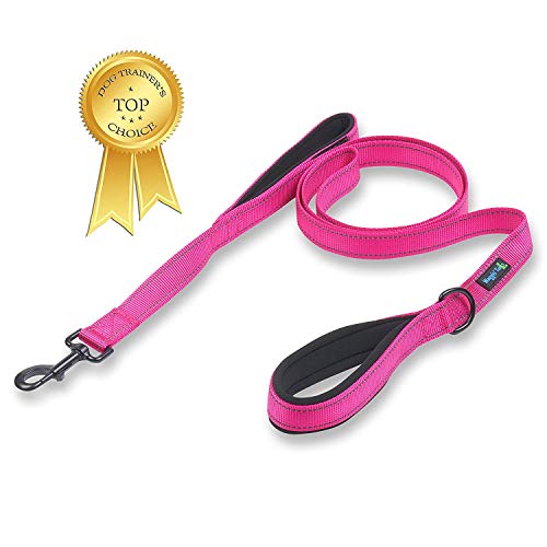 Waggin Tails Hundeleine mit 2 Griffen, 1,83 m, hochwertig, doppelt gepolsterte Griffe – tolle Kontrolle für mittelgroße oder große Hunde, For Medium to Large Dogs, Reflective Lively Pink von Waggin Tails