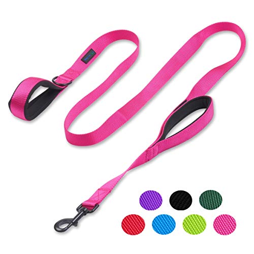 Waggin Tails Hundeleine mit 2 Griffen, 1,83 m, hochwertig, doppelt gepolsterte Griffe – tolle Kontrolle für mittelgroße oder große Hunde, Fore Medium to Large Dogs, Lively Pink von Waggin Tails