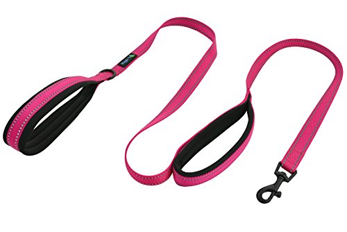 Waggin Tails Hundeleine mit doppeltem Griff, gepolsterter Neopren-Griff für kleine bis mittelgroße Hunde, 1,5 m, for Small to Medium Sized Dog, Lively Pink von Waggin Tails