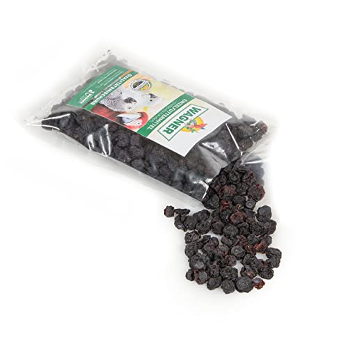 Wagner's | Heidelbeeren 150g | getrocknet und ohne Zusätze | Snack für Vögel von Wagner's