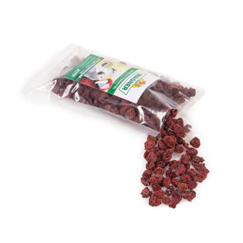 Wagner's | Himbeeren 100g | getrocknet und ohne Zusätze | Snack für Vögel von Wagner's