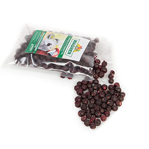 Wagner's | Johannisbeeren 50g | gefriergetrocknet und ohne Zusätze | Snack für Vögel von Wagner's