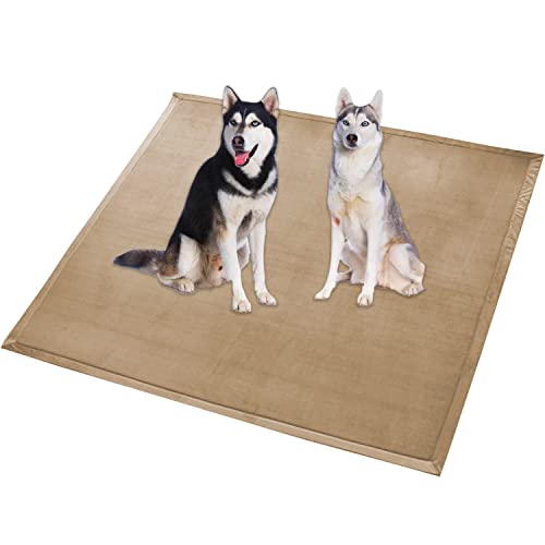 Extra große Hundebettmatte, XXL-Hundematte, weicher Korallen-Samt, rutschfest, waschbar, für Katzen, Anti-Angst-Hundekissen (80 x 80 cm, Beige) von Waigg Kii