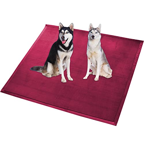 Extra große Hundebettmatte, XXL-Hundematte, weicher Korallen-Samtbereich, rutschfest, waschbar, für Katzen, Anti-Angst-Hundekissen (150 x 180 cm, Rot) von Waigg Kii