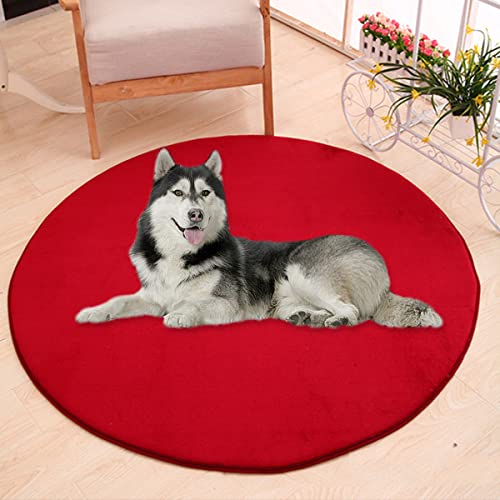 Waigg Kii Große Hundebettmatte, Korallen-Samt, weich, rund, Teppich, Haustiermatte, Anti-Angst-Hundematratze für kleine, mittelgroße und große Katzen und Hunde (100 cm, rot) von Waigg Kii