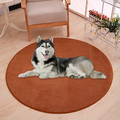 Waigg Kii Große Hundebettmatte, Korallen-Samt, weich, rund, Teppich, Haustiermatte, Anti-Angst-Hundematratze für kleine, mittelgroße und große Katzen und Hunde (150 cm, braun) von Waigg Kii